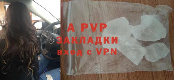 прущие грибы Белокуриха