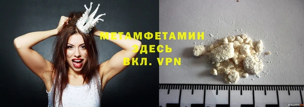 прущие грибы Белокуриха