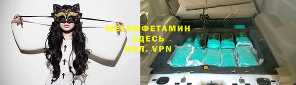 прущие грибы Белокуриха