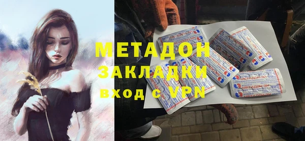 прущие грибы Белокуриха