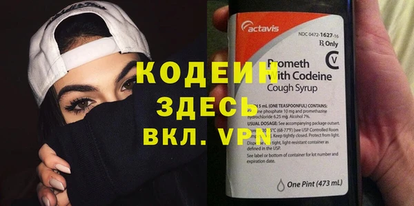 прущие грибы Белокуриха